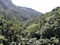 yagmur-ormanlari-rainforest-pictures-www-bidibidi-com-462941-5.jpg