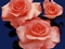 rose-pictures-www-bidibidi-com-104175-8.jpg