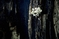 mantar-champignons-galeri-bidibidi-com-3245.jpg