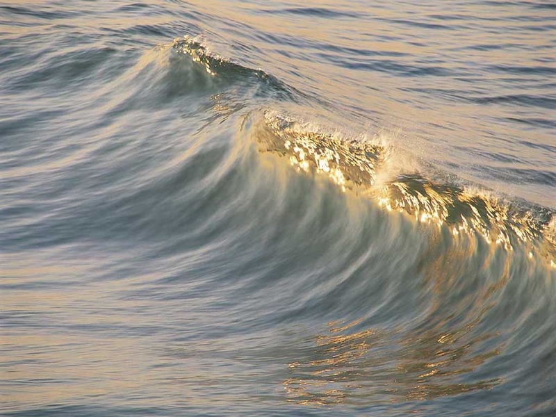 Deniz dalgas
Deniz dalgas
Anahtar kelimeler: Deniz dalgas
