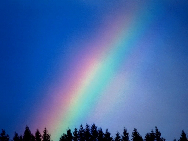 Gkkua
Gkkua, gne nlarnn yamur damlalarnda veya sis bulutlarnda yansmas ve krlmasyla meydana gelen ve k tayf renklerinin bir yay eklinde grnd meteorolojik bir olaydr.
Anahtar kelimeler: Gkkua 7 renk , rainbows , rainbow