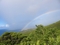 gokkusagi-fotolari-rainbows-www-bidibidi-com-605877-7.jpg