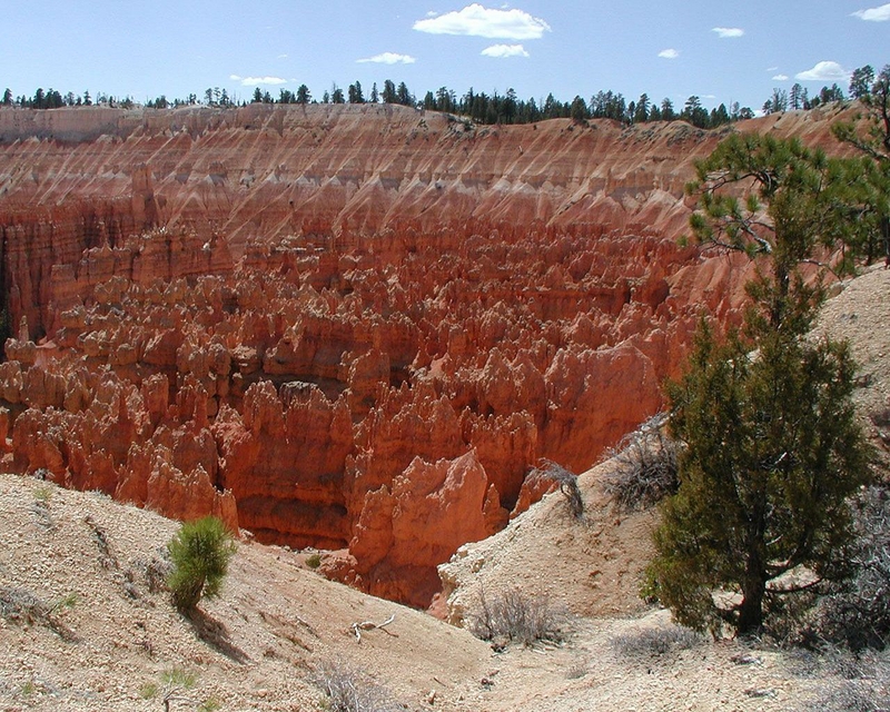 Kanyon Genel Bilgileri
Bir ok kanyonu uzun sreli erozyonlarn yaylalar zerinde oluturduu bilinmektedir. Kanyon yaplarnn iki yanlarndaki duvarlar, erozyon ve anmaya dayankl sert kayalardan oluur. Bunlar granit ya da kumta gibi oluumlardr. Kanyon oluumunda hzlandrc etkisi olan hava akmlar kuru alanlarda sulak blgelere nazaran daha etkili olduklarndan, kanyonlara bu tr blgelerde daha sk rastlanr. Sualt Kanyonlar adndan da anlalaca zere, deniz taban seviyesinde oluan kanyon yaplardr. Karasal olanlarla hemen hemen ayn zelliklere sahip olan ve genellikle nehir azlarnda vcut bulan bu yaplarn oluumlarnda, sualt akntlar temel etkendir. Trke'ye Frenk dillerden gelen Kanyon ad, kayna spanyolca asll olan can szdr.


