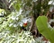 yagmur-ormanlari-rainforest-pictures-www-bidibidi-com-409748-7.jpg