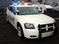 police-cars-amazing-ilginc-www-bidibidi-com-34998-5.jpg