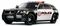 police-cars-amazing-ilginc-www-bidibidi-com-55411-9.jpg