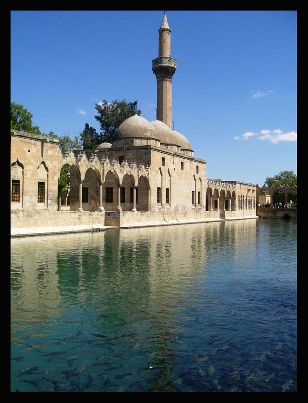cami-mosque-pictures-bidibidi-com-17655.jpg