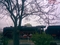 ankara-muze-fotolari-lokomotif-tren-www-bidibidi-com-332273-50.jpg